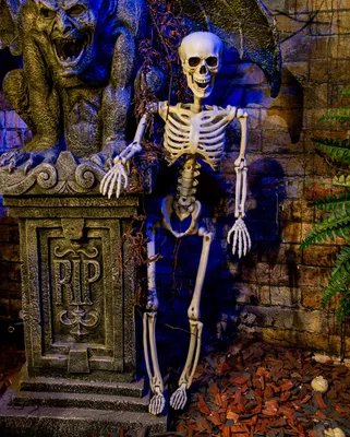 Produktbild von Realistisches Positionierbares Halloween Skelett 90cm für Innen- und Außenbereich