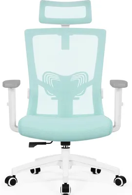 Image de Chaise de bureau ergonomique Aiibot, chaise de bureau avec appui-tête réglable, accoudoirs, soutien lombaire, fauteuil de direction, chaise pivotante, chaise de bureau supportant jusqu'à 150 kg