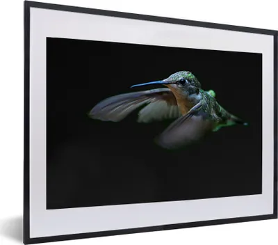 Produktbild von MuchoWow® MuchoWow® Gerahmtes Poster Kolibri - Federn - Schwarz 60x40 cm - Poster mit zchwarzem Bilderrahmen - Schlafzimmer - Plakat in Rahmen - Drucken