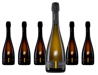 Produktbild von 6 x Paladin Prosecco Millesimato Extra Dry