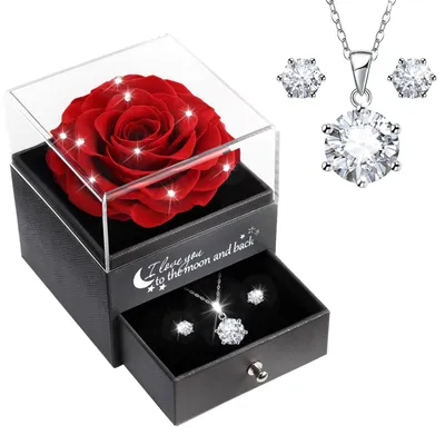 Ewige Rose mit Silber 925 Halskette & Ohrringen, Geschenk für Damen