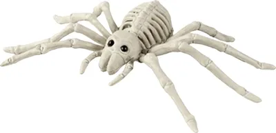 Produktbild von Halloween-Tierskelett: Gruselige Spinnenskelett-Statue, realistische Spinnenknochen-Simulation für Garten, Rasen, Terrasse – Halloween-Dekoration