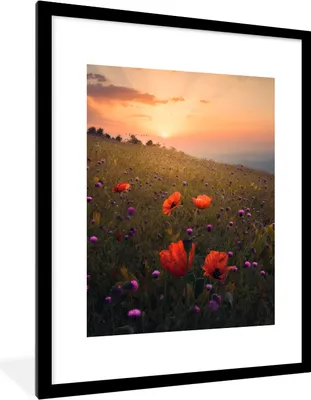 Produktbild von MuchoWow® Gerahmtes Poster Blumenfeld - Gras - Pflanzen - Sonnenuntergang - Orange 60x80 cm - Poster mit Schwarzem Bilderrahmen Wandposter Rahmen Foto Bilder - Wohnzimmer - Dekorationen - Prämie