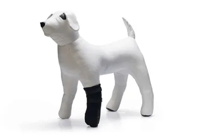 Produktbild von Beeztees Pfotenschutz - Hund - schwarz - M - 2Stk.