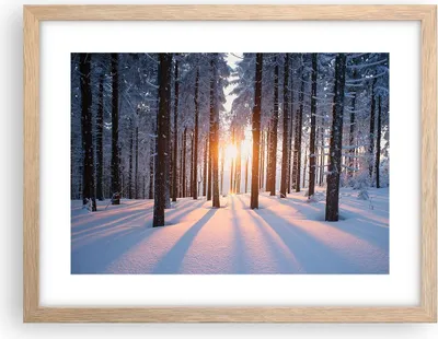 Produktbild von Gerahmtes Poster - Rahmen in heller Eiche - Wald Winter Schnee - 40x30 cm - Wand Bild - Wanddeko - Wandbilder - Wandposter - Bilderrahmen - Bilder - Kunstdruck - Wandbild - P2NAA40x30-3629