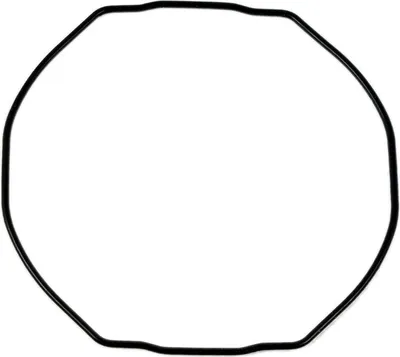Produktbild von Casio Packing O-Ring | Dichtungsring Gummi schwarz für GWN-1000
