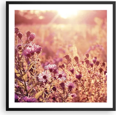 Produktbild von Gerahmtes Poster - Schwarzer Rahmen - Wiese Blumen Sonne - 60x60 cm - Wand Bild - Wanddeko - Wandbilder - Kunstposter - Wandposter - Bilderrahmen - Bilder - Kunstdruck - P2BAC60x60-4819