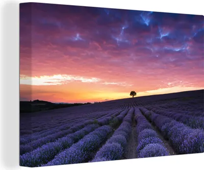 Produktbild von OneMillionCanvasses® - Leinwandbilder - 150x100 cm, Lila Wolken auf einem Lavendelfeld, Wandbilder Kunstdruck Wanddekoration