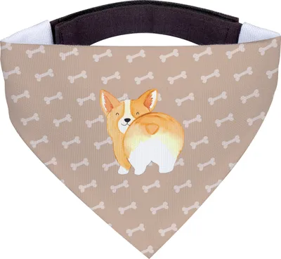 Produktbild von Mr. & Mrs. Panda Hundehalstuch Corgi Po - Hundeglück - Geschenk, Sprüche, Tuch, Halstuch Für Hunde, Corgie, Hunde-Halstuch, Süß, Hund, Bandana