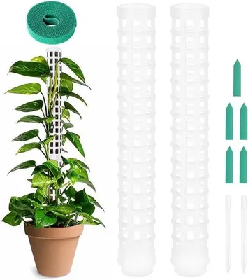 Immagine prodotto di Porta-piante con due piante e cinque etichette, adatto per Monstera, Pothos e altre piante, con muschio di sfagno