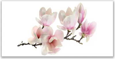 Produktbild von Tulup Leinwand-Bilder 140x70 Wandbild Canvas Kunstdruck Blumen Pflanzen