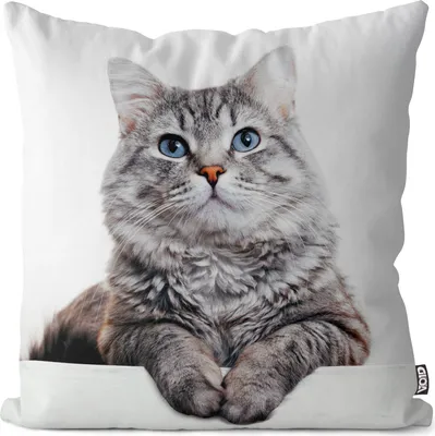 Produktbild von VOID Graue Katze getigert Kissenbezug Kissenhülle Sofakissen Kissen Deko Outdoor-Kissen Dekokissen