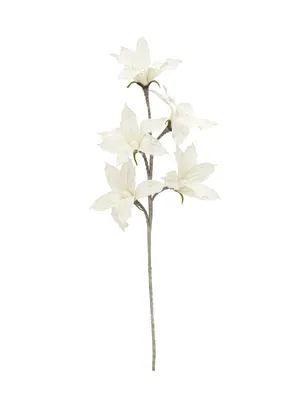 Imagen del producto de EUROPALMS, rama de clemátide artificial, color blanco (82531065)