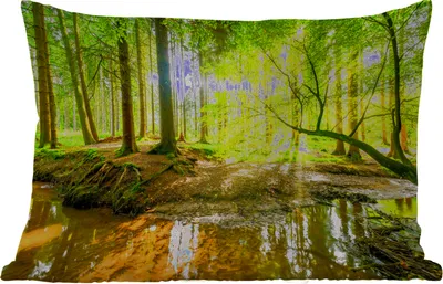 Produktbild von MuchoWow® Outdoor Kissen - Wald - Landschaft - Wasser - Bäume - Sonne - Grün - Natur - 50x30 cm - Wetterfest - Lounge Kissen - Sofa kissen - Wohnzimmer Dekoration
