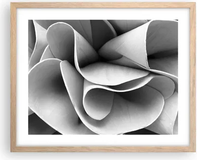Produktbild von Gerahmtes Poster - Rahmen in heller Eiche - Material Ornament Stück - 50x40 cm - Wand Bild - Wanddeko - Wandbilder - Kunstposter - Wandposter - Bilderrahmen - Bilder - Kunstdruck - P2NAA50x40-4993
