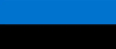Produktbild von Flagge Estland 90 x 150 cm, Polyester, wind- und wetterfest, farbbeständig, mit Ösen
