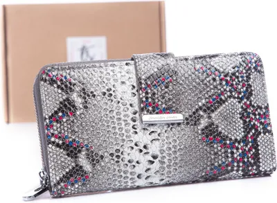 Produktbild von ennifer Jones Damen Echtleder Portemonnaie, Geldbörse Geldbeutel Portmonee groß, RFID-Schutz, 17 Kartenfächer, lackiert, mit Reißverschluss Silber