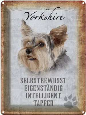 Produktbild von vianmo Blechschild 40x30 cm Yorkshire Hund