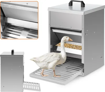 Zdjęcie produktu dla Jayseuw 3x automat do karmienia kur z klapką uruchamianą stopą – automatyczny podajnik paszy dla kur, gęsi i kaczek, pojemność 5 kg, wodoodporny i zabezpieczony przed szczurami