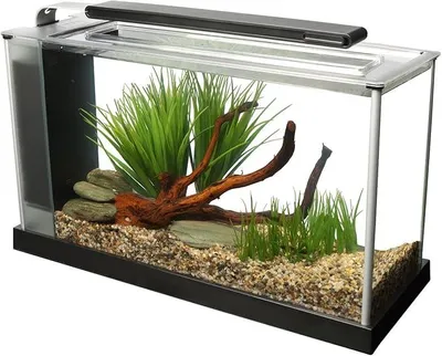 Image de Aquarium Spec 5 Nano, d'une capacité de 19 litres, de couleur noire
