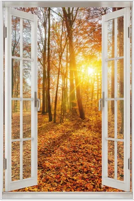 Produktbild von Wallario Wandbild mit Fenster-Illusion: Sonnenuntergang im herbstlichen Wald, Größe: 61 x 91,5 cm, Poster mit weißem Aluminiumrahmen