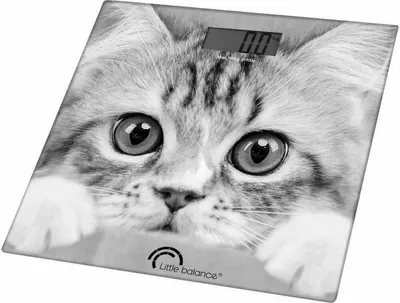 Obrázek produktu pro Little Balance The Cat, Elektronická osobní váha, 180 kg, 100 g, Šedá, kg, Čtverec