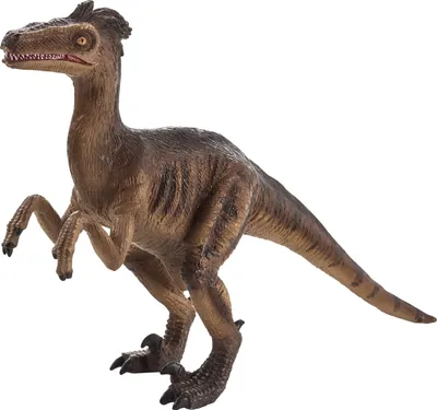 Obrázek produktu pro Mojo Fun Velociraptor, 3 rok/roky, PREHISTORIC LIFE, Hnědá, Černá, Polyvinylchlorid (PVC)