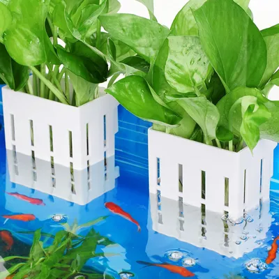 Produktbild von Borlech Aquarium Pflanzenhalter Set 2 Stück Weiß