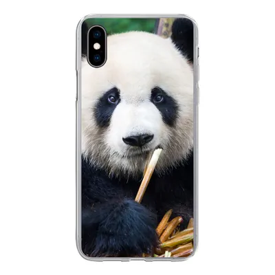 Produktbild von MuchoWow® Handyhülle Schutzhülle Hülle für iPhone Xs Panda - Bambus - Natur Silikon Softcase Handy Hülle - Handytasche
