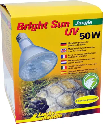 Image de Lampe pour terrarium - lumière du jour avec UVA et UVB - 50 W - culot E27 - pour reptiles tropicaux