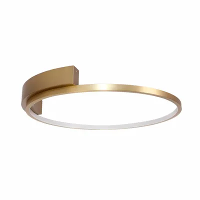 Image de Rabalux 71287 Plafonnier Holize LED 23 en métal et silicone doré