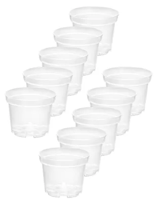 Produktbild von Stilvolle Blumentöpfe rund: Grüne Schönheit für Zuhause GD-0024 (10 Stück - Transparent, 17cm H=13,5cm)