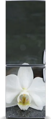 Produktbild von Tulup Kühlschrankdekoration - Magnetmatte - 70 cm x 190 cm - Magnet auf dem Kühlschrank - Orchidee
