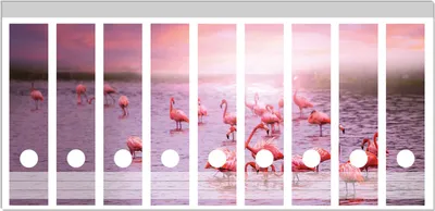 Produktbild von Wallario Ordnerrücken Sticker, selbstklebend für breite Ordner, 9 Stück, Motiv Rosa Flamingos bei Sonnenuntergang
