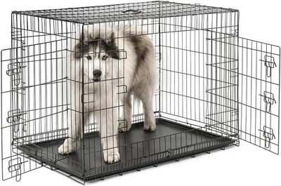 Image de Cage pliante pour chien, taille XXL, noire, dimensions : 106 x 71 x 77 cm
