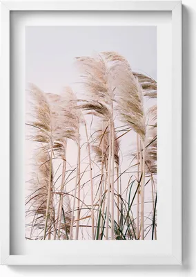 Produktbild von Romantische Landschaft mit Gras im Boho-Stil– Wandbild mit Rahmen – Gerahmtes Bild  – Wanddekoration – 40x60 cm – Weiß