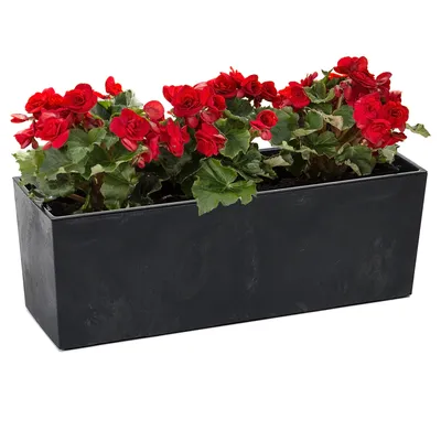 Obrázek produktu pro Balkonový truhlík Květinový truhlík Vložka do květináče Vzhled betonu Černá Obdélníková 56x19 H19,5cm Povrch Matný plast Moderní Glamour