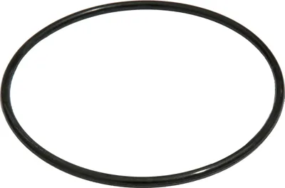 A black rubber O-ring is shown against a white background.