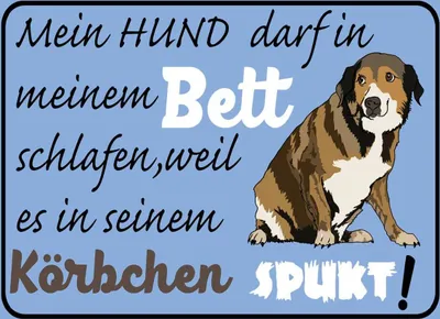 Produktbild von vianmo Holzschild 30x40 cm mein Hund darf im Bett schlafen