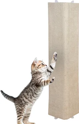Produktbild von Katzen Kratzbrett mit 2 verschiedenen Seiten - 80 x 27 cm - Sisal und Plüsch Kratzecke zum Legen oder Hängen - Wand Kratzmatte Kratzbaum