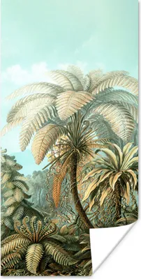 Produktbild von MuchoWow® Poster Filicinae - Haeckel - Alte Meister 60x120 cm - Wandschmuck