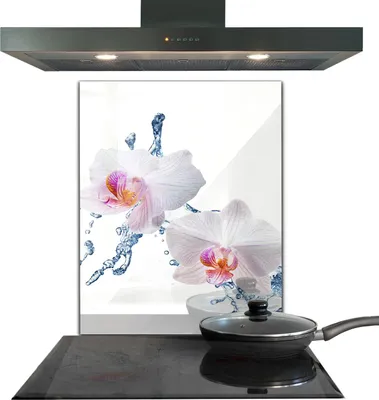 Produktbild von Spritzschutz aus Glas Küchenrückwand - Wandschutz für Herd und Spüle - 60x80 cm - Wasserbetaute Orchidee