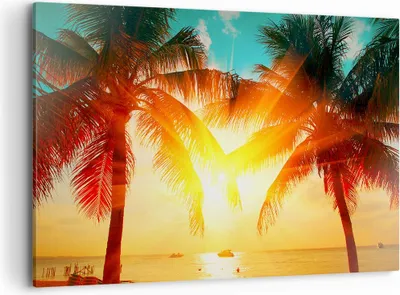 Produktbild von Bild auf Leinwand - Leinwandbild - Meer Palme Wasser - 100x70cm - Wand Bild - Wanddeko - Wandbilder - Leinwanddruck - Bilder - Kunstdruck - Wanddekoration - Leinwand bilder - Wandkunst - AA100x70-4018