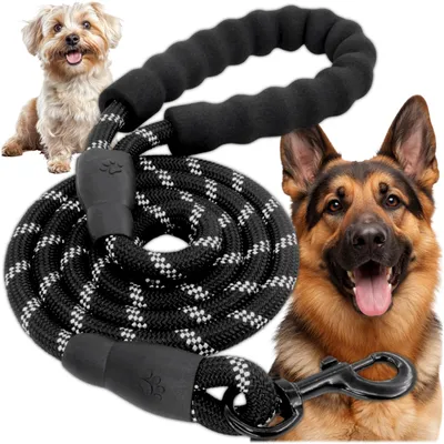 Image de KRUMAD Laisse pour chien Laisse d'entraînement 5 m, laisse robuste en polyester avec dragonne rembourrée et mousqueton solide