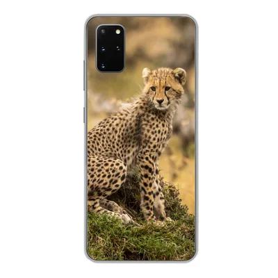 Produktbild von MuchoWow® Handyhülle Schutzhülle Hülle für Samsung Galaxy S20 Plus Leopard - Wald - Tier Silikon Softcase Handy Hülle - Hartschale