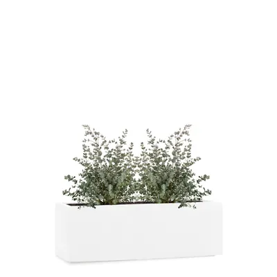 Produktbild von PFLANZWERK® Pflanzkübel TUB 50cm WEISS Fensterbank Premium Blumenkübel mit Lotus-Effekt Fiberglas - Handgefertigt - Frostbeständig