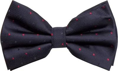 Produktbild von Fabio Farini - 1 Stück Herren Fliegen mit Punkten - Männer Querbinder Vorgebunden Bowtie Dunkelblau (Blau, Rot)
