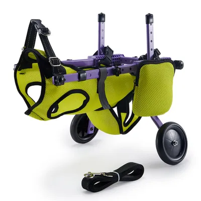 Produktbild von Zimilo Hunde Rollstuhl, Verstellbar, Leicht, Aluminium, Mobilitätshilfe, Haustier Rollator für kleine & mittelgroße Hunde, Grün