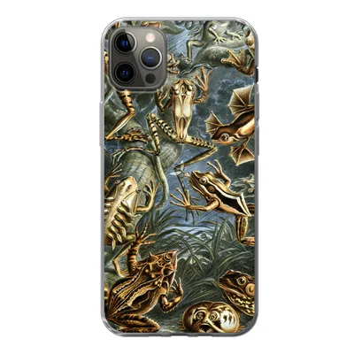 Produktbild von MuchoWow® Handyhülle Schutzhülle Hülle für iPhone 12 Pro Max Batrachia - Haeckel - Alte Meister Silikon Softcase Handy Hülle - Hartschale