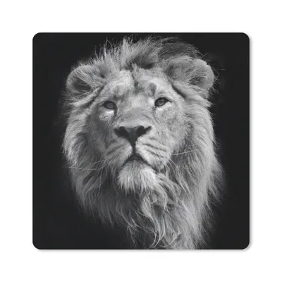 Produktbild von MuchoWow® Mauspad Mousepad Löwe - Porträt - Schwarz - Weiß 20x20 cm - Mousepads - Maus Mat - Pad - Mausunterlage - Desk Mat - Bureauartikeln